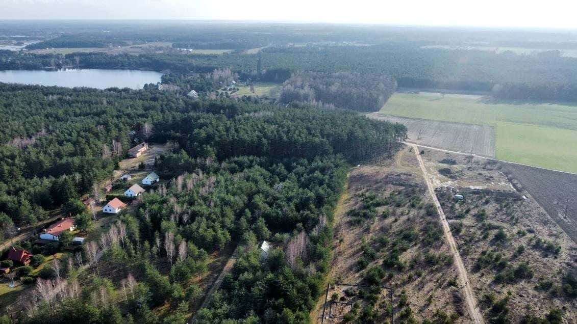 Różan blisko rzeka Narew